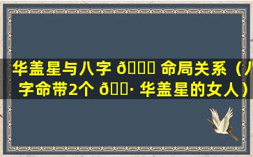 华盖星与八字 🐈 命局关系（八字命带2个 🌷 华盖星的女人）